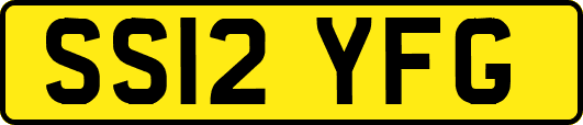 SS12YFG