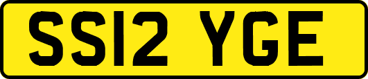 SS12YGE