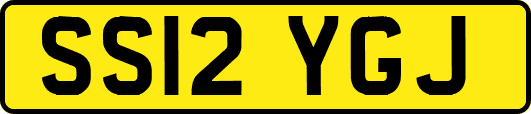 SS12YGJ