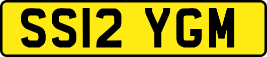 SS12YGM