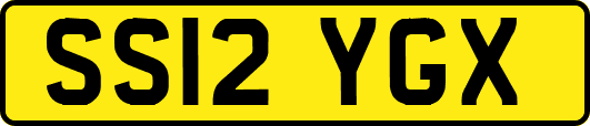 SS12YGX