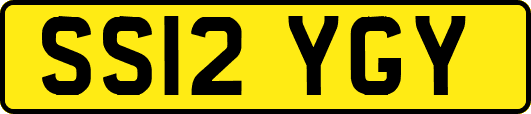 SS12YGY