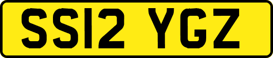 SS12YGZ