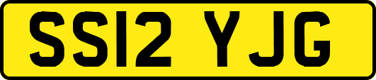 SS12YJG