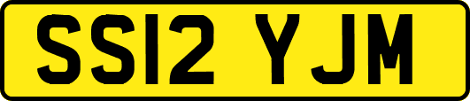 SS12YJM