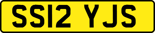 SS12YJS