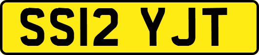 SS12YJT