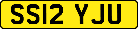 SS12YJU