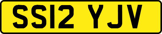 SS12YJV