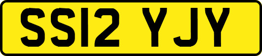 SS12YJY