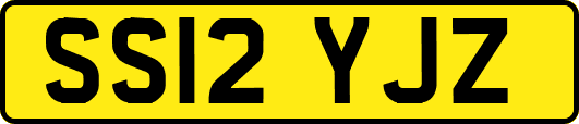 SS12YJZ