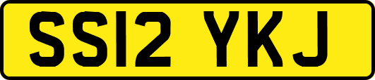 SS12YKJ
