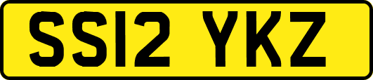 SS12YKZ