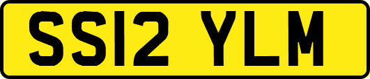 SS12YLM