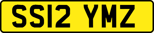 SS12YMZ