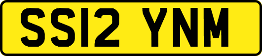 SS12YNM