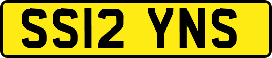 SS12YNS