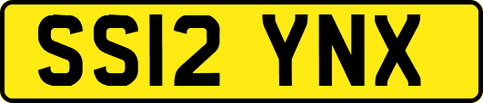 SS12YNX