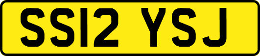 SS12YSJ