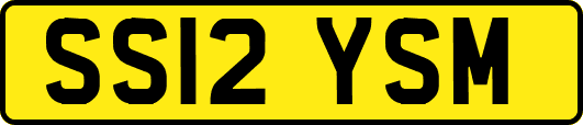 SS12YSM