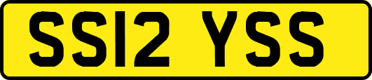 SS12YSS