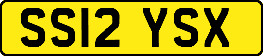 SS12YSX