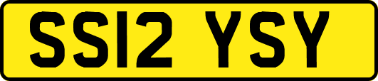SS12YSY