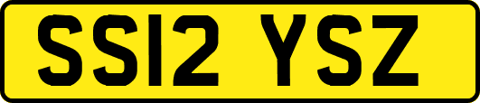 SS12YSZ
