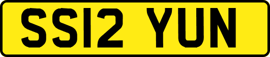 SS12YUN