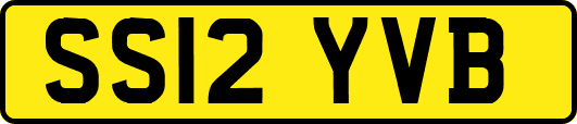 SS12YVB