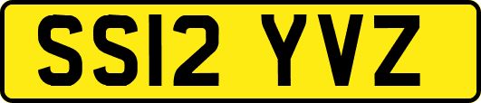 SS12YVZ