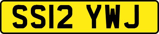 SS12YWJ