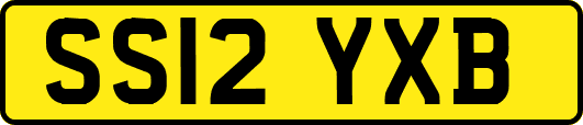 SS12YXB