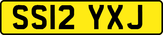 SS12YXJ