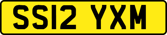 SS12YXM