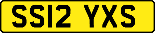 SS12YXS