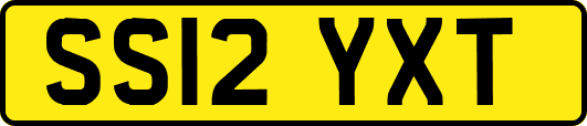 SS12YXT