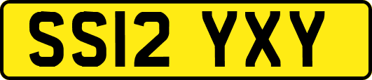 SS12YXY