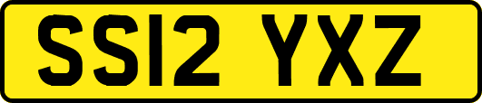 SS12YXZ