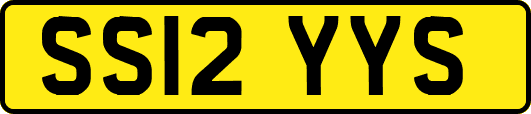 SS12YYS