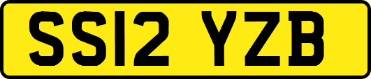 SS12YZB