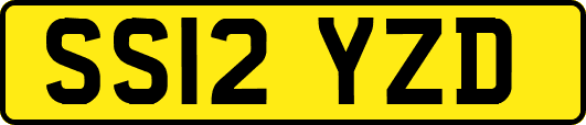 SS12YZD
