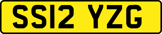 SS12YZG