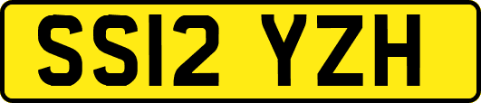 SS12YZH