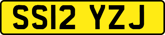 SS12YZJ