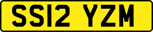 SS12YZM