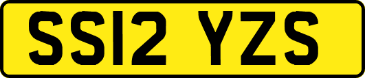 SS12YZS