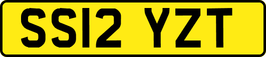 SS12YZT