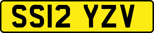 SS12YZV