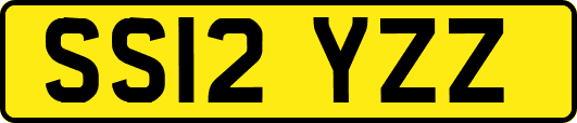 SS12YZZ